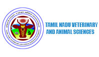 logo designing company in chennai web development company in chennai