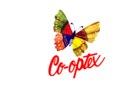website design company in chennai website design company in chennai